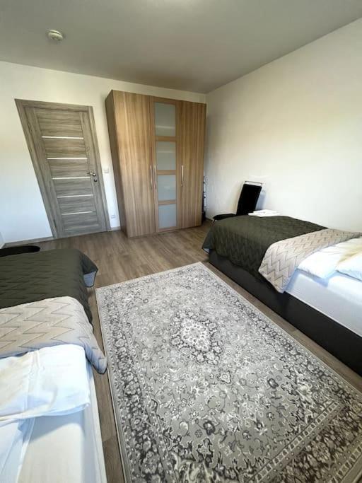 Familienwohnung Naehe Europapark, Messe, Gifiz See Offenburg Esterno foto